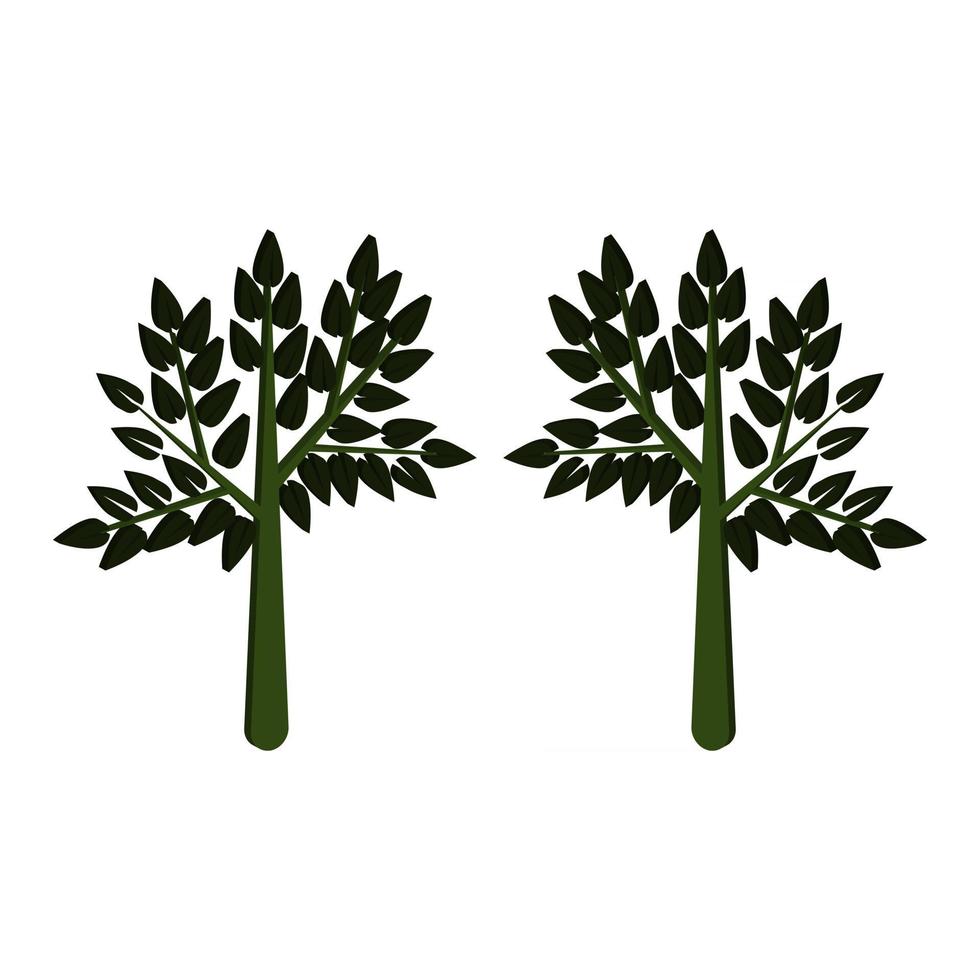Tree Illustrated In Vector