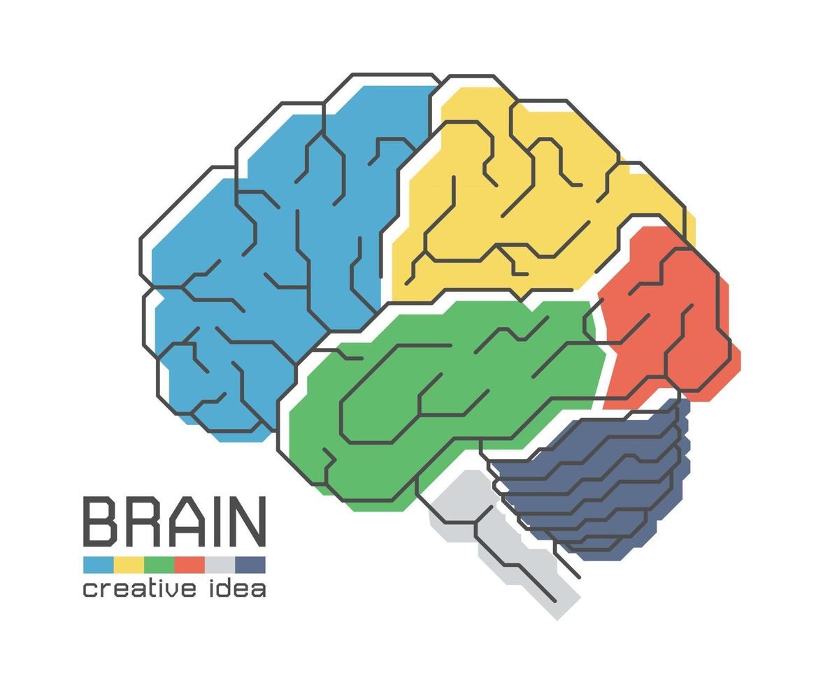 Brain anatomy with flat color design and outline stroke . Frontal Parietal Temporal Occipital lobe Cerebellum and Brainstem . Creative idea concept . vector