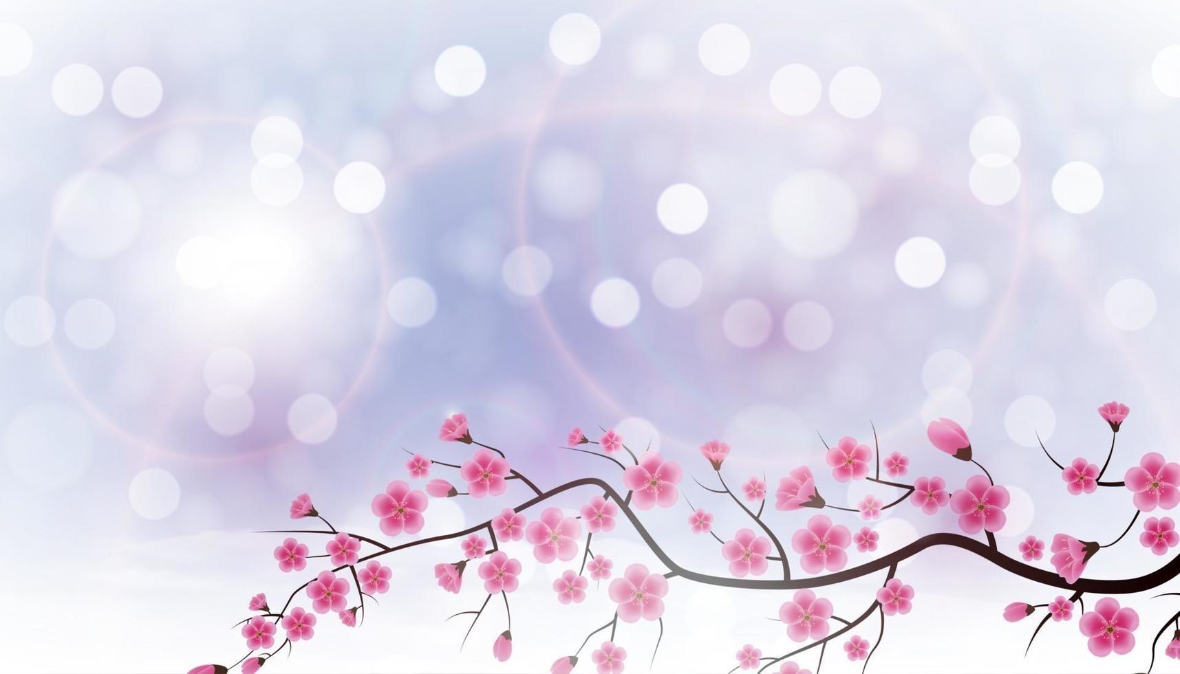 Glossy Spring Background with Sakura Flowers vector