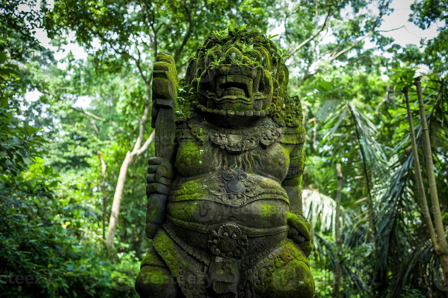 Statue at Ubud Monkey Forest photo