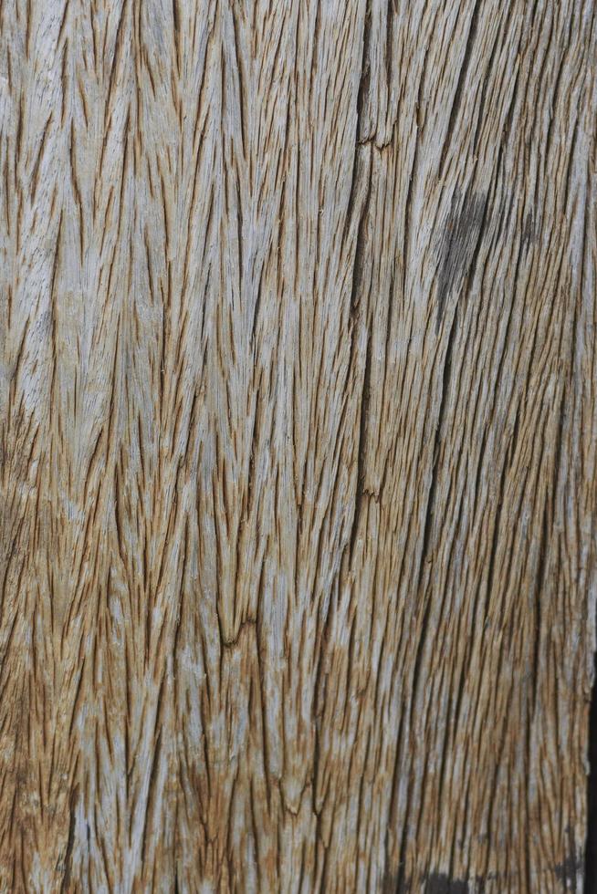 Fondo de textura de madera vieja foto