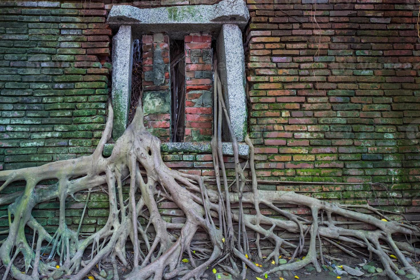 The Anping Tree House in Tainan in Taiwan photo