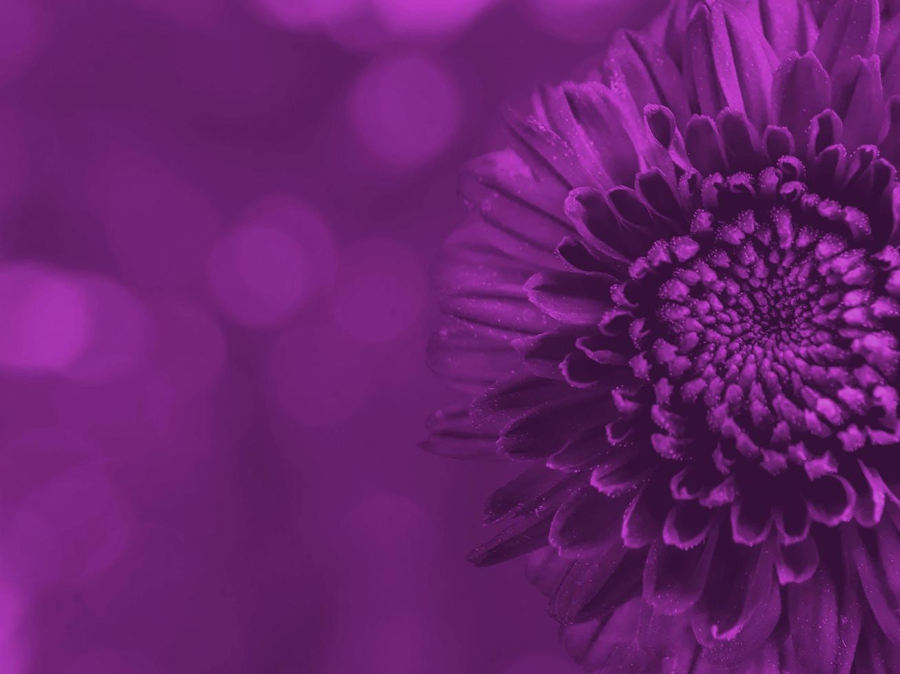 Flower Effect Background flower effect Unique Design Collection