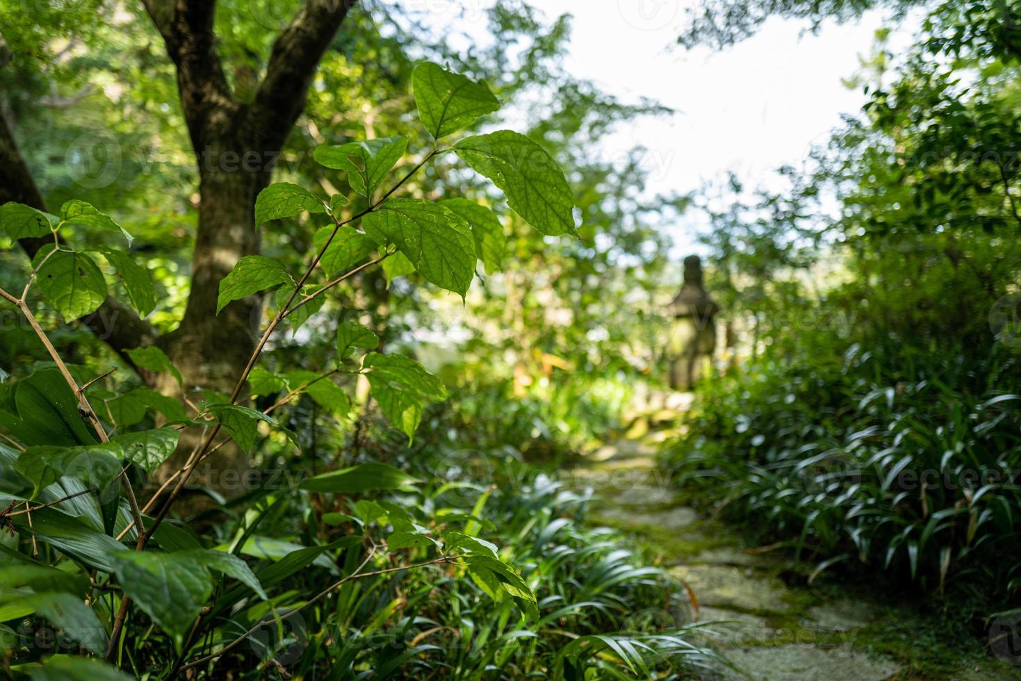 un jardín en kamakura en japón foto
