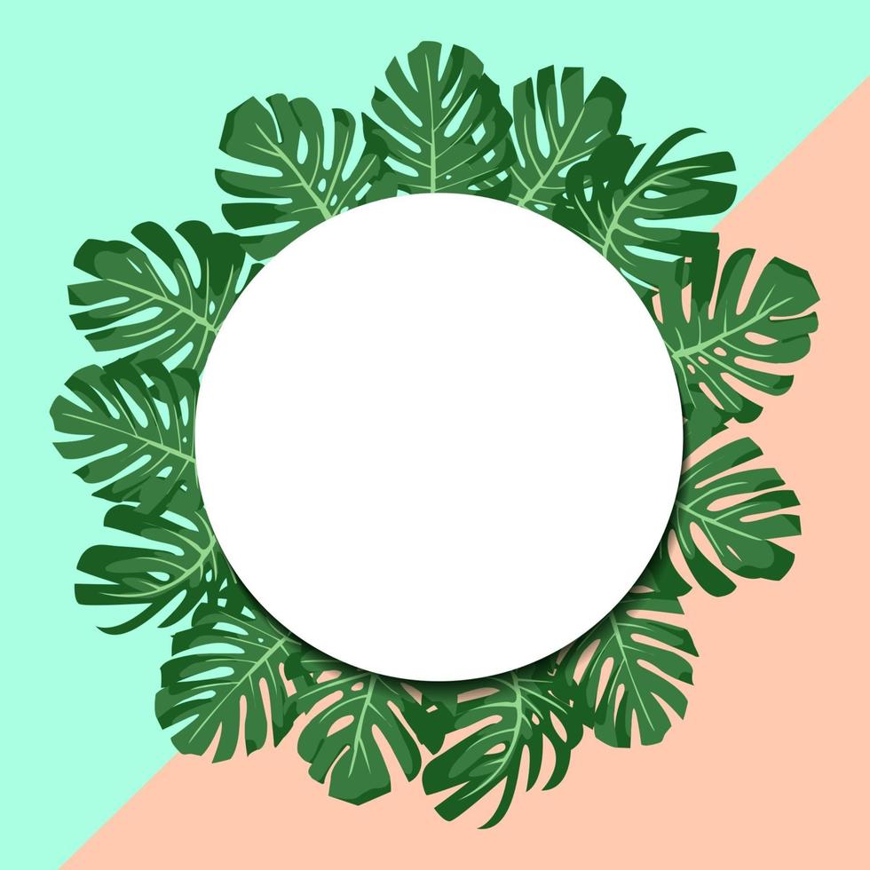 ilustración vectorial. exóticas hojas verdes tropicales monstera. banner de papel redondo. fondo rosa y menta vector