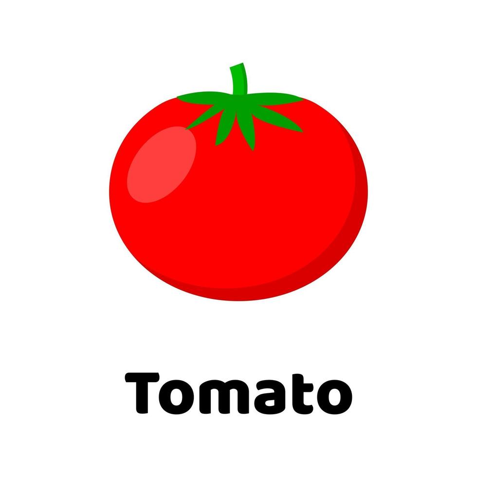 ilustración vectorial. vegetal. tomate. vector