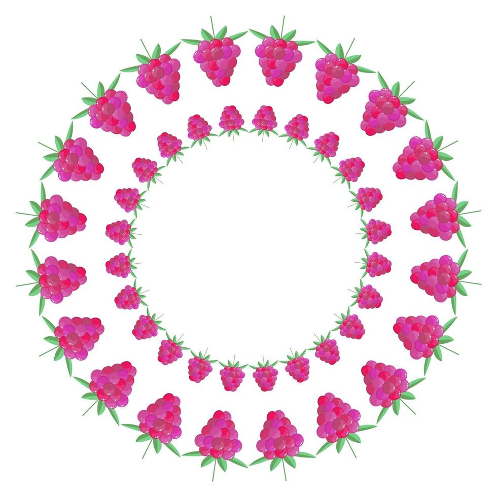 Vector illustration. Round frame of berries. Raspberry