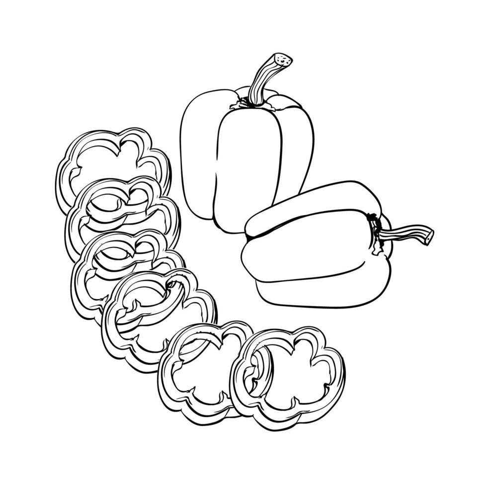 Outline isolated illustration of whole and sliced bell pepper. vector