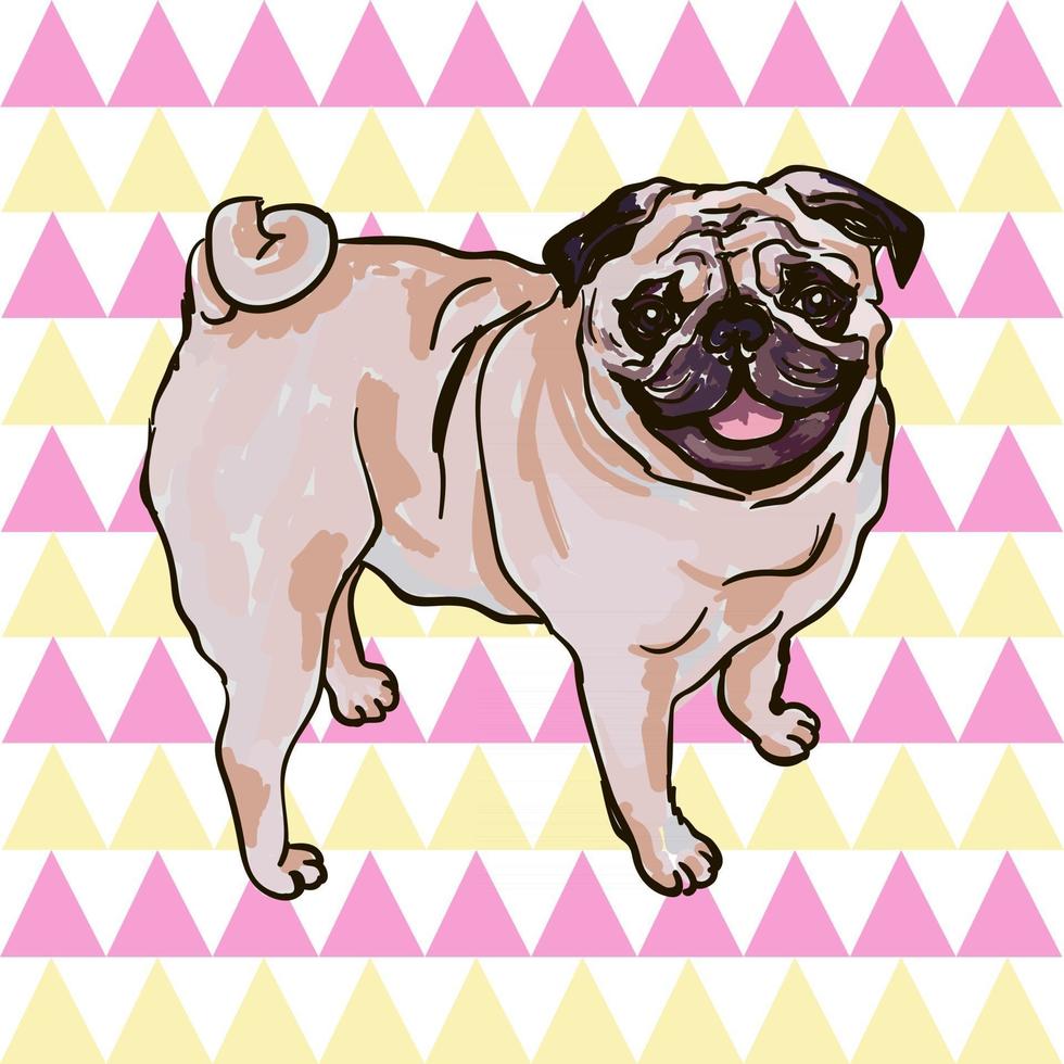 Ilustración vectorial colorida de la raza de perro pug aislado sobre fondo blanco. vector