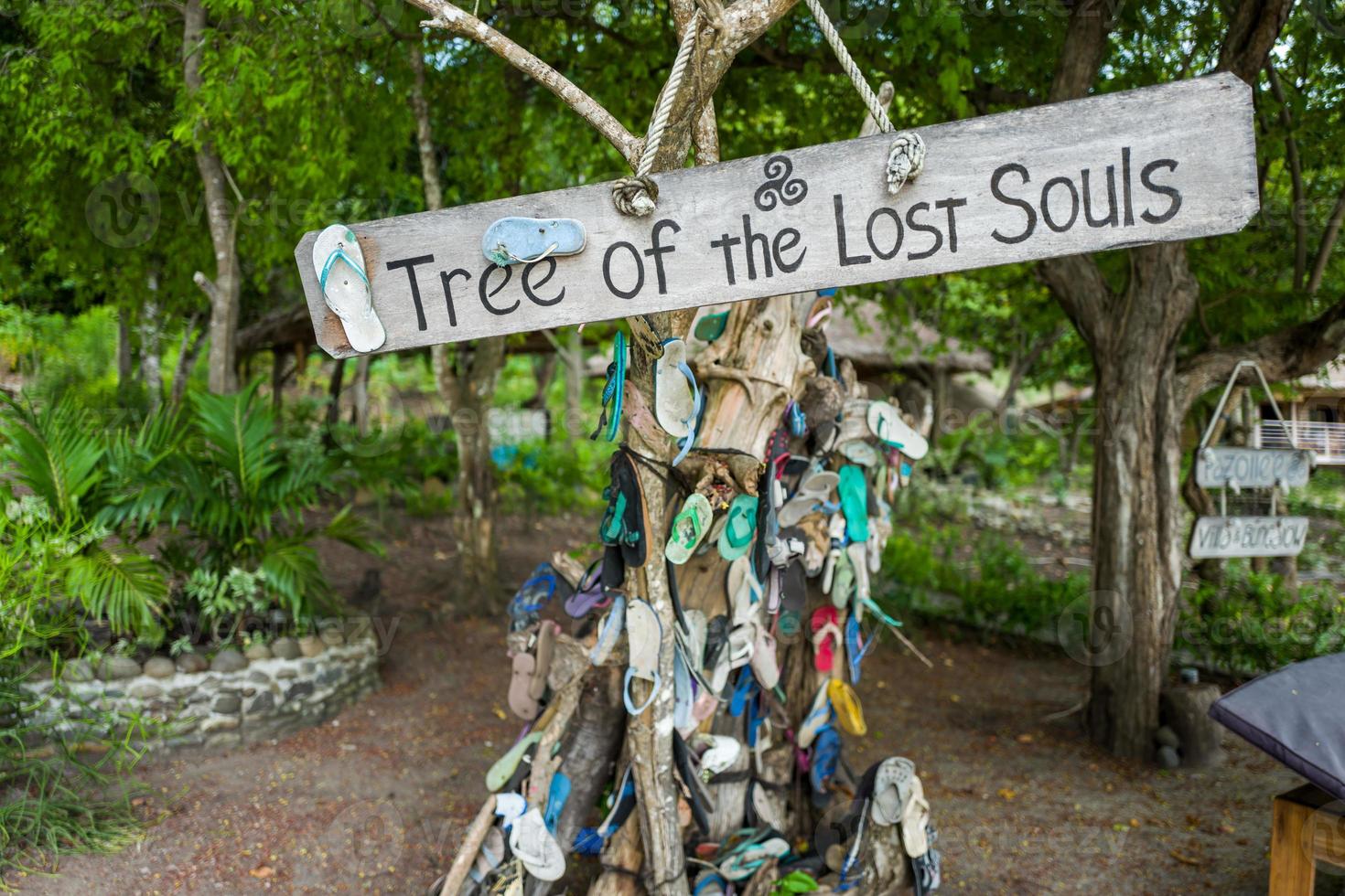 Labuan Bajo tree full of sandals photo