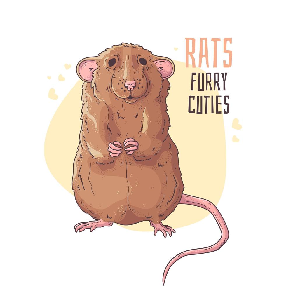 How to Draw a Rat - A Fun Guide to Creating a Rat Drawing