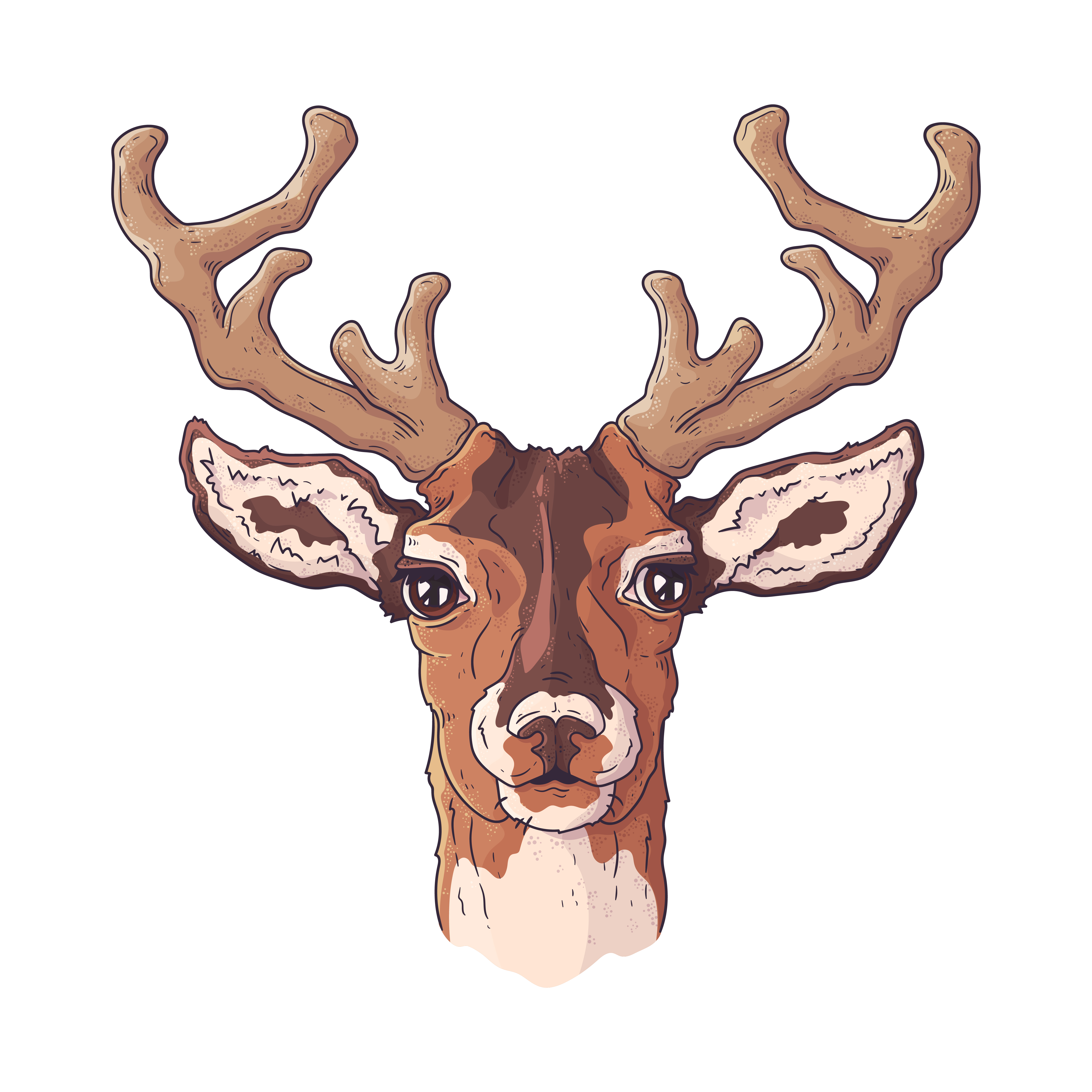 Deer Reindeer Or Elk Sketch Of Wild Mammal Animal Stock Illustration -  Download Image Now - Deer, Illustration, Stag - iStock