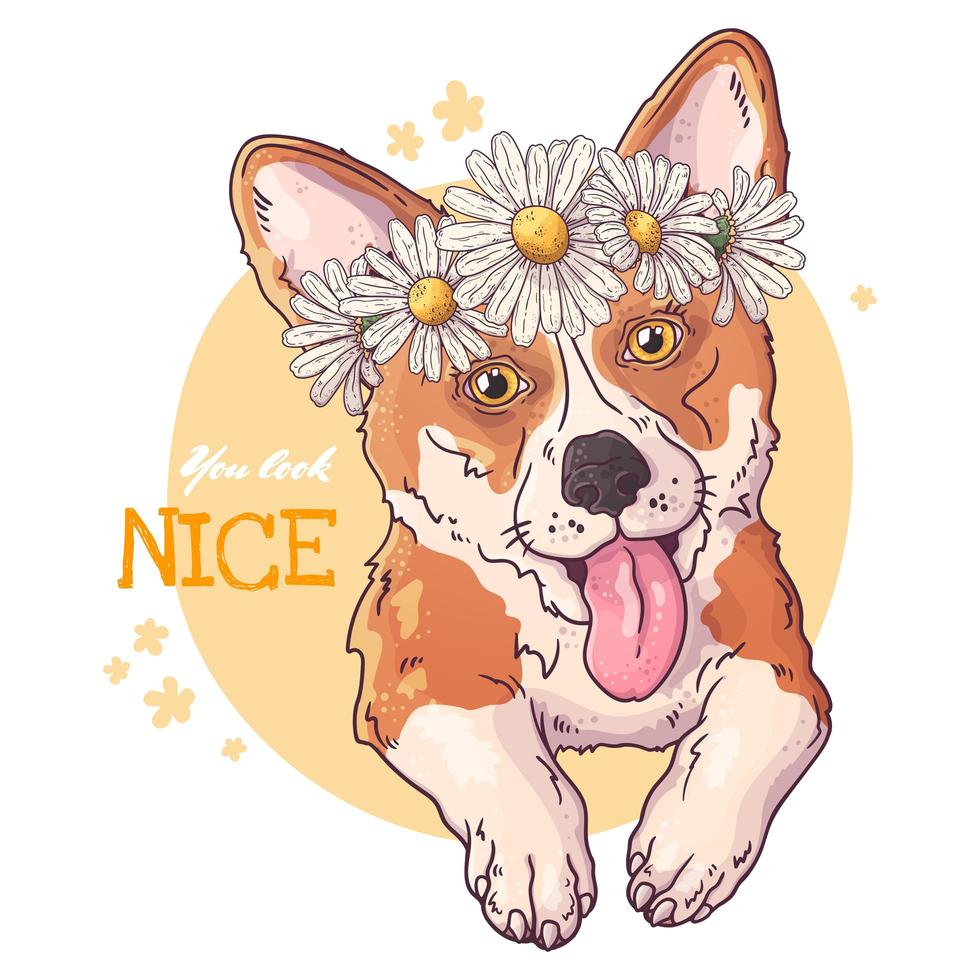 Vector sketching illustrations. Portrait of a cute corgi dog.