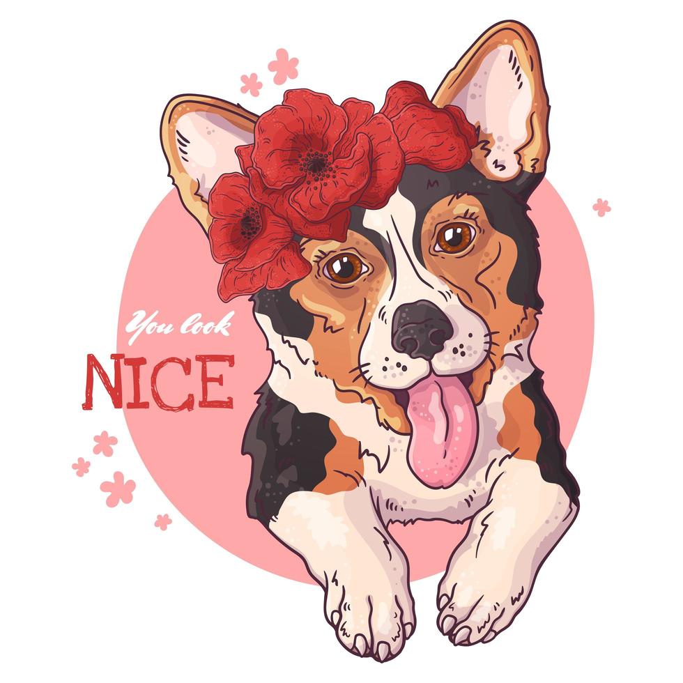 Vector sketching illustrations. Portrait of a cute corgi dog.