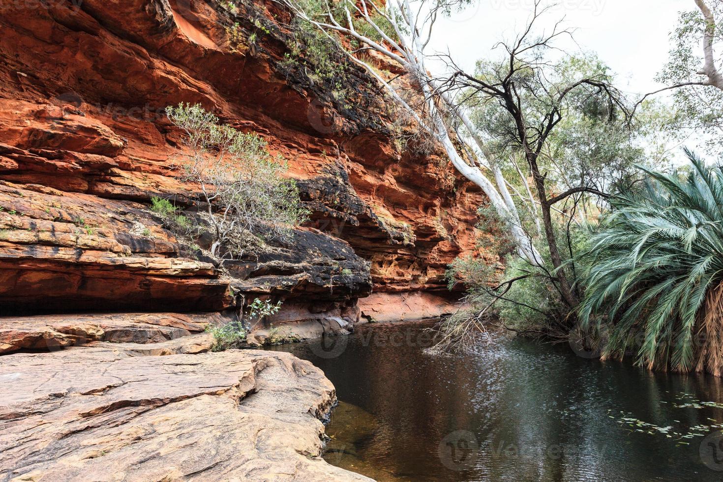 Kings Canyon Gorge Territorio del Norte Australia foto