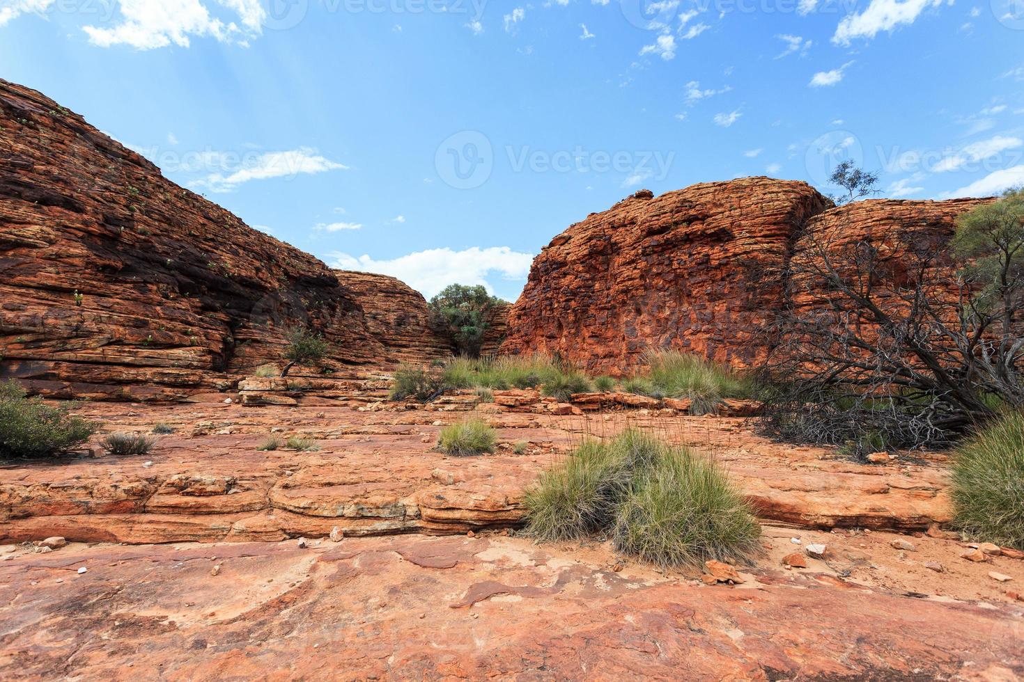 Kings Canyon Northern Territory Australia photo