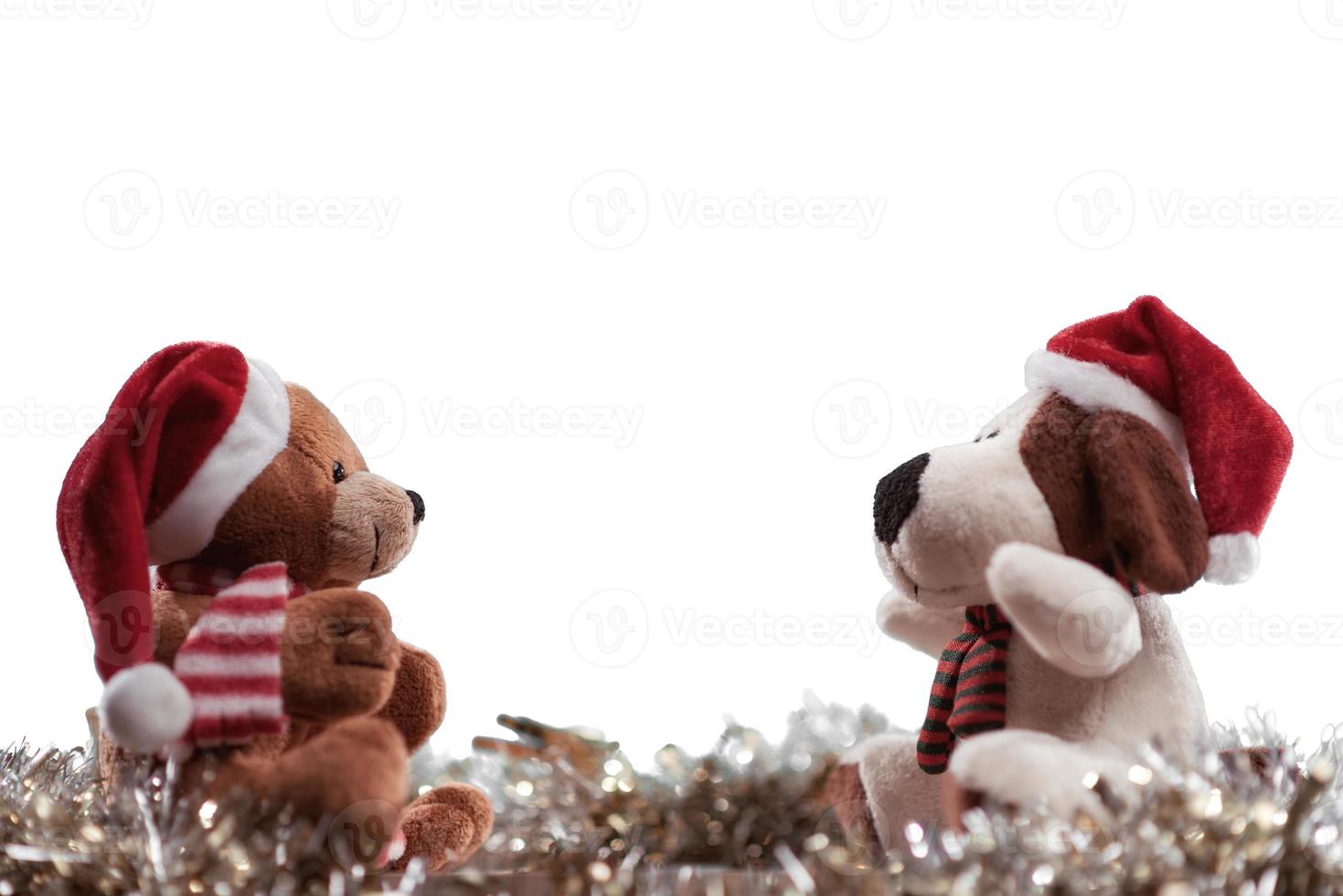 Two teddy bears enjoying Christmas and New Year Eve, New Year celebration concept. Isolated on white background. photo