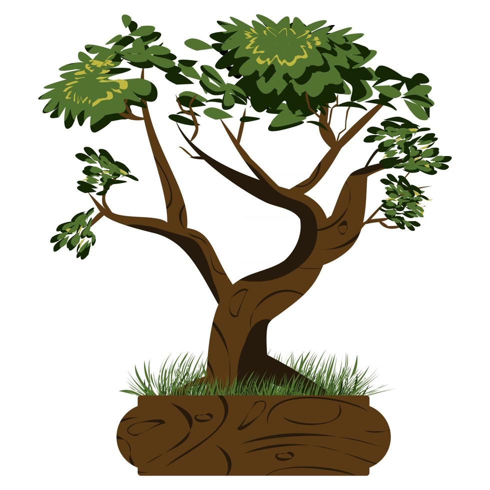 Bonsai tree. Japanese bonsai tree in the pot and with grass around. Plant icons isolated on white background. Detailed image. Vector