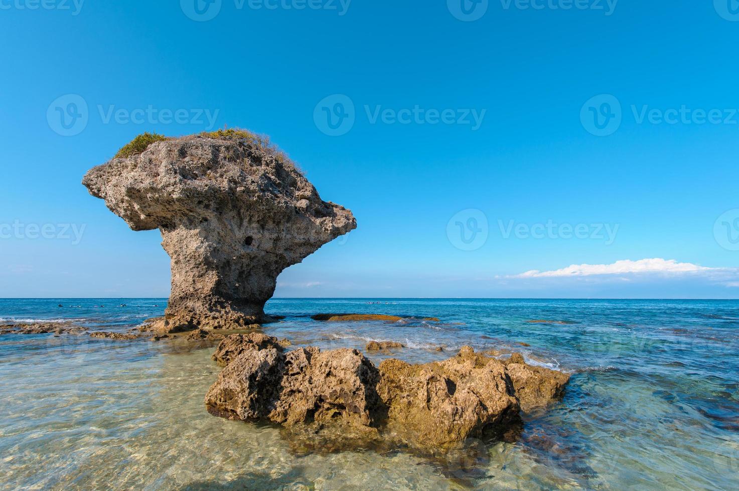 Flower Vase Coral Rock at Lamay island in Taiwan photo