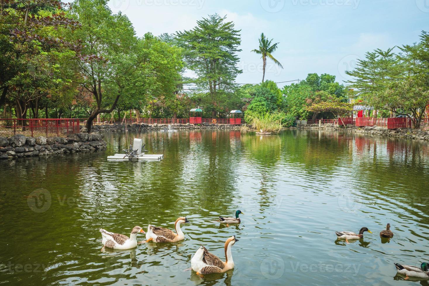 Estanque de carpas de la fábrica de azúcar de turismo de nanzhou en pingtung, taiwán foto