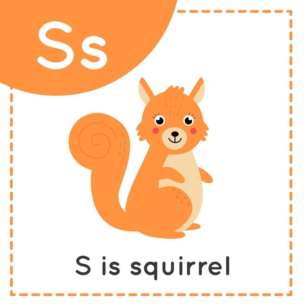 Learning English alphabet for kids. Letter S. Cute cartoon squirrel. vector