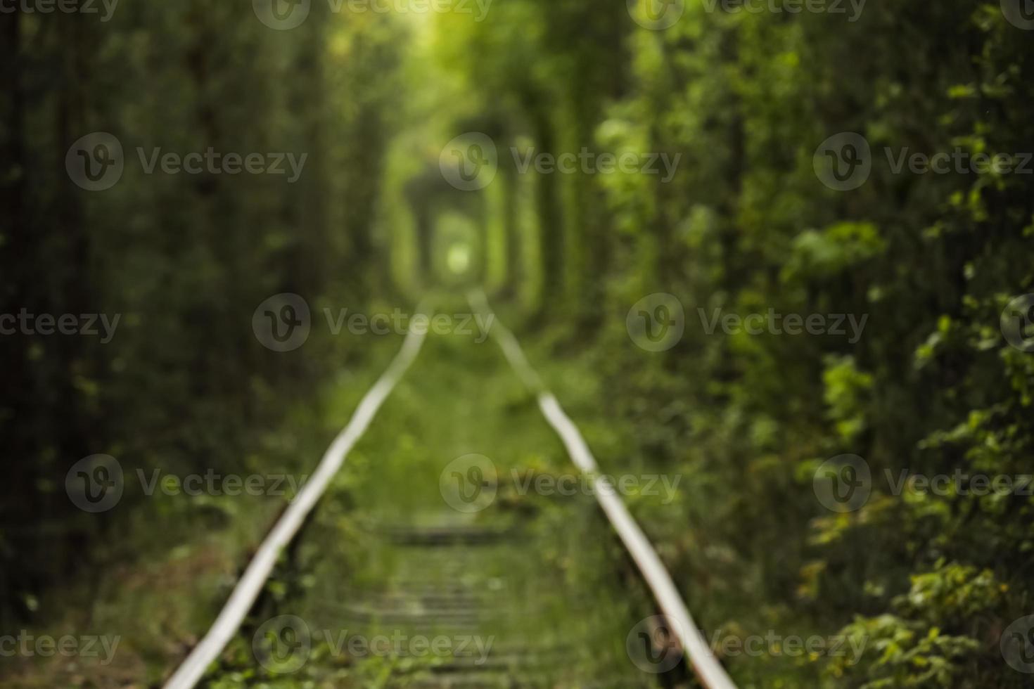 túnel natural del amor formado por árboles en ucrania, klevan. antiguo ferrocarril en el hermoso túnel en día de verano. foto desenfocada en el fondo.