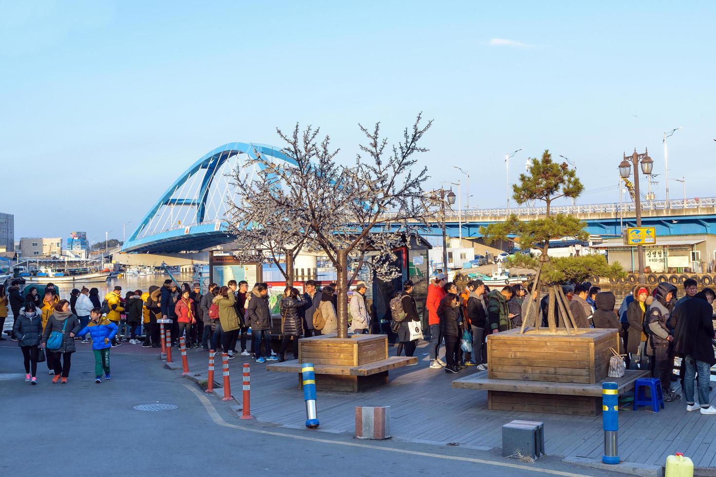 Seúl, Corea, 02 de enero de 2016 - Los visitantes se alinearon para tomar un ferry foto