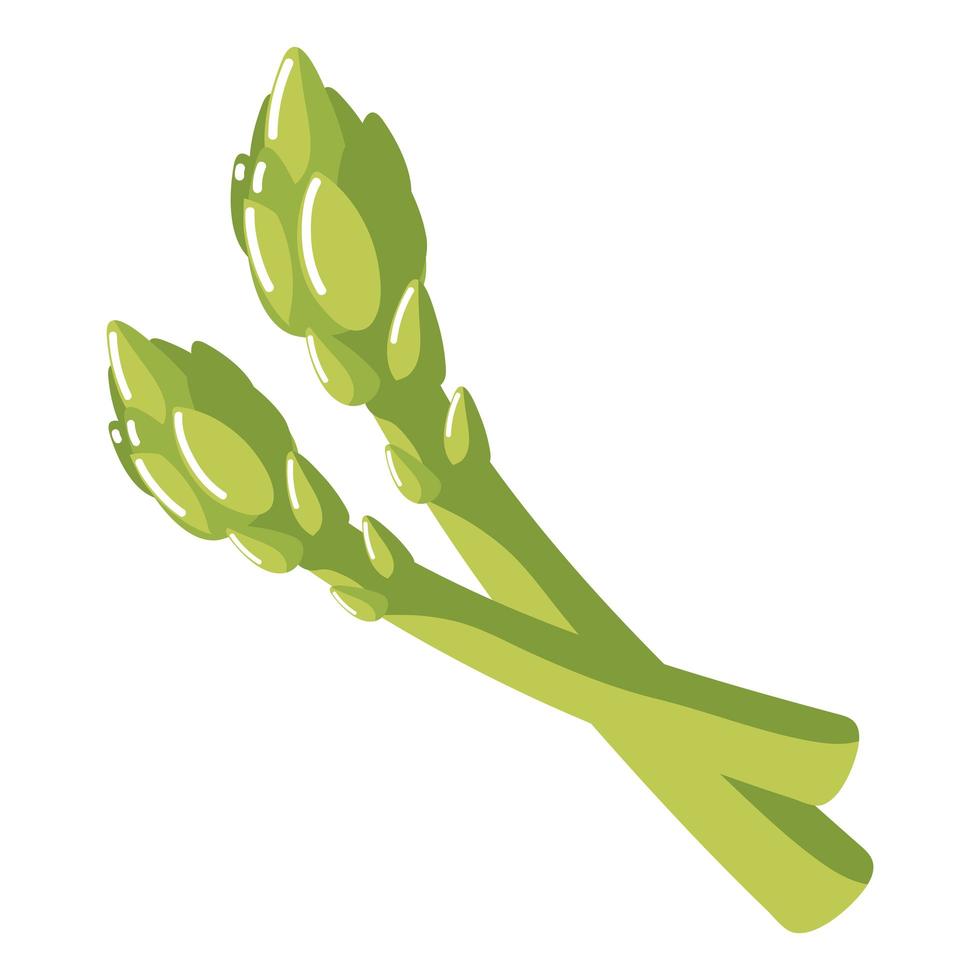 asparagus fresh food vector
