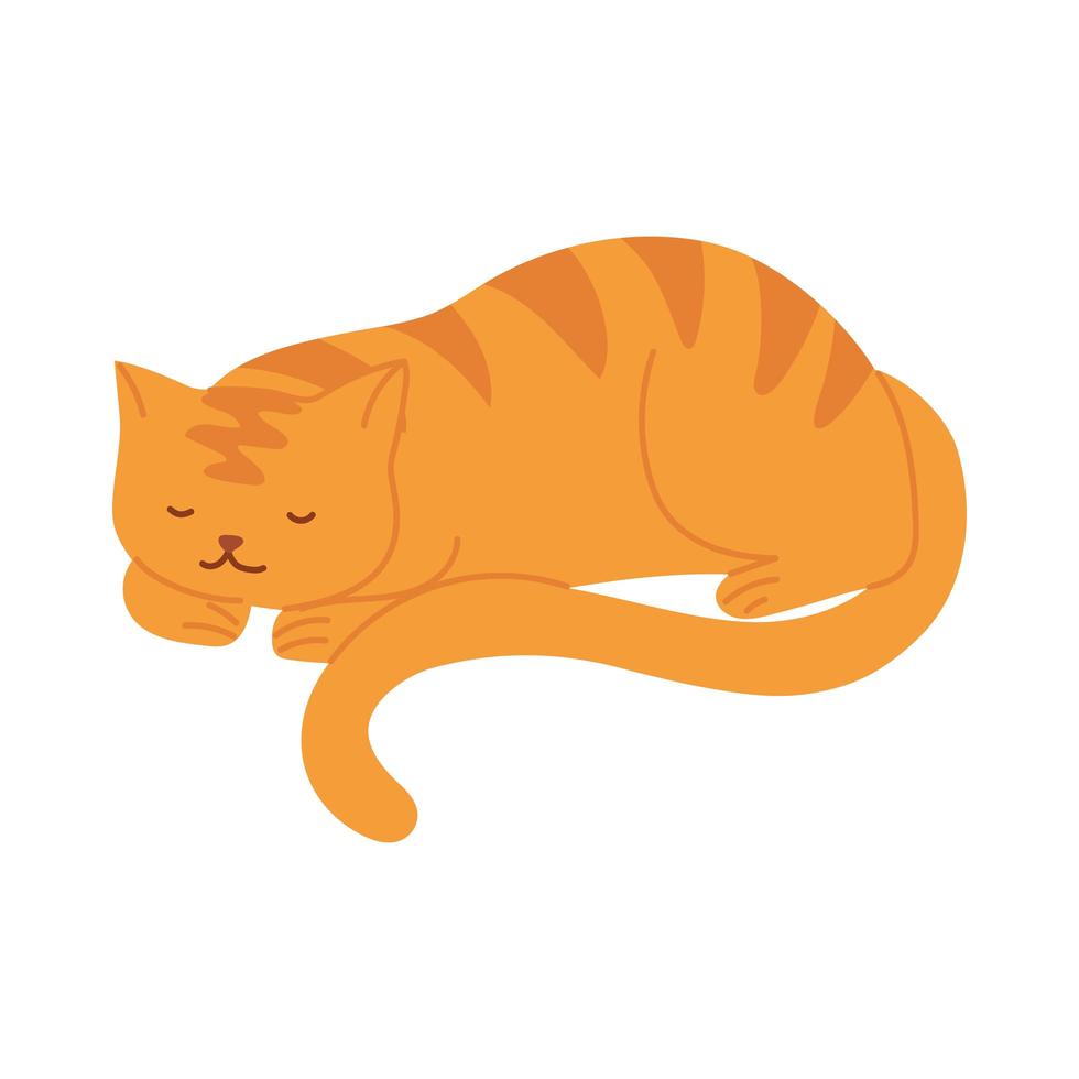 sleeping striped cat animal pet cartoon vector