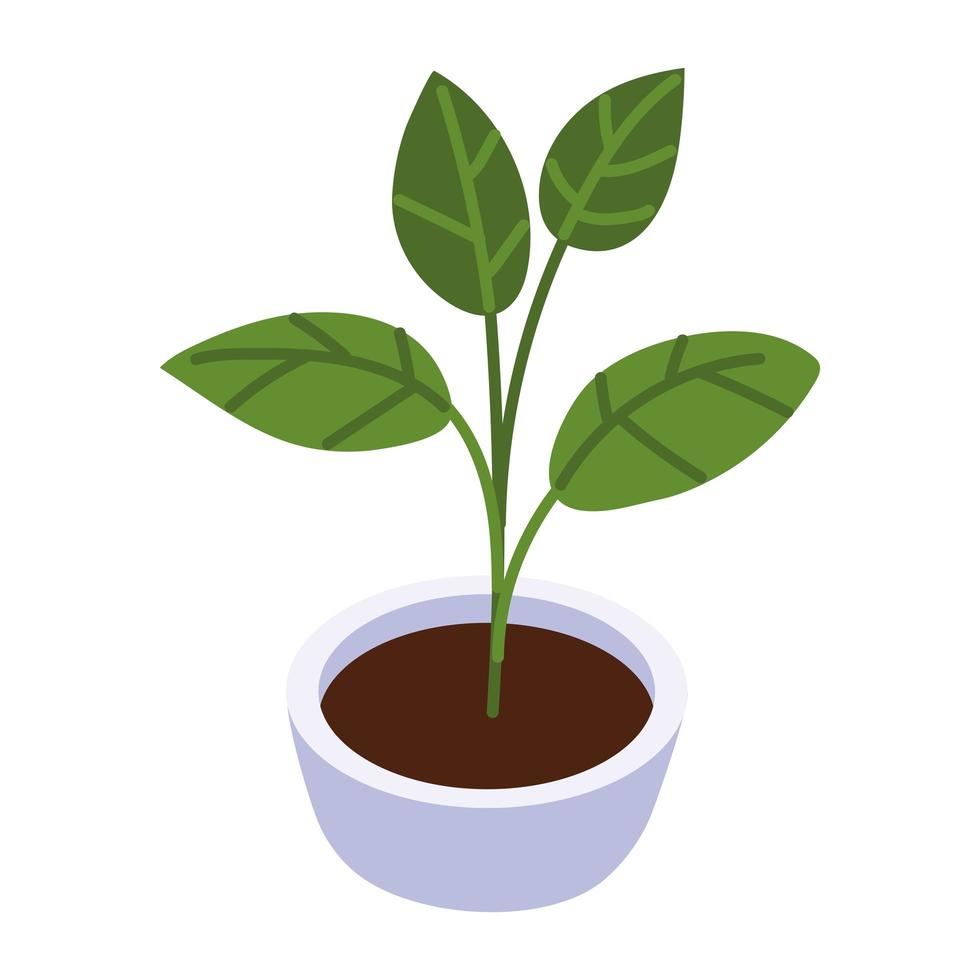 icono de decoración de planta en maceta estilo isométrico vector