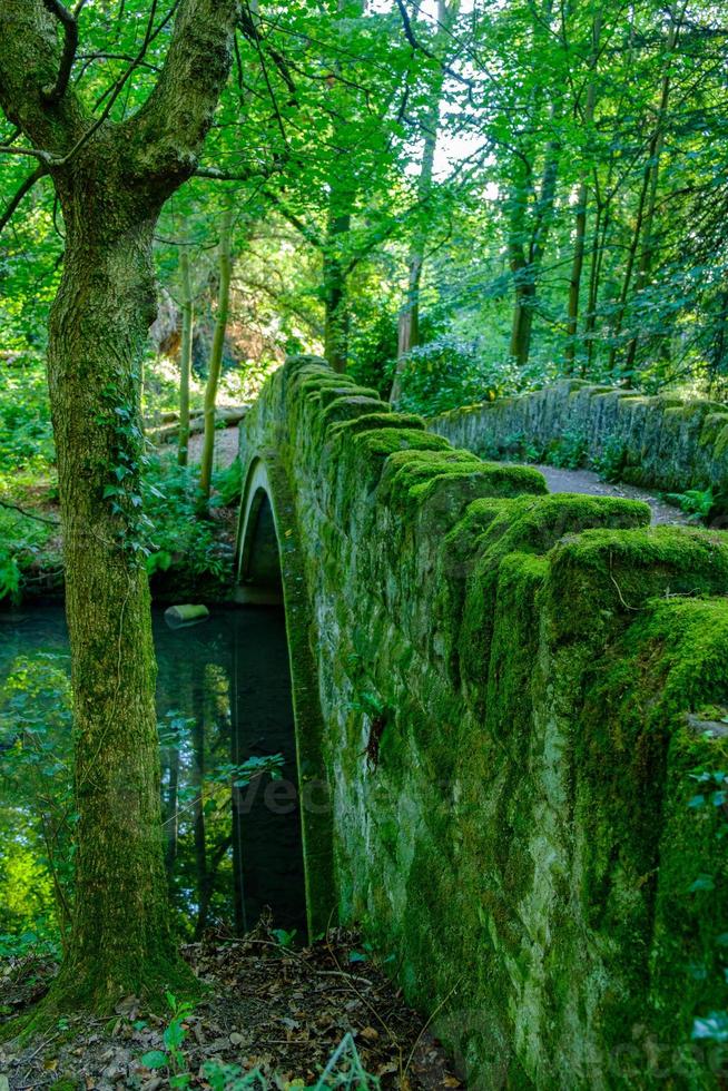 Antiguo puente de piedra sobre el arroyo en el parque de Desmond Dene, Newcastle, Reino Unido foto