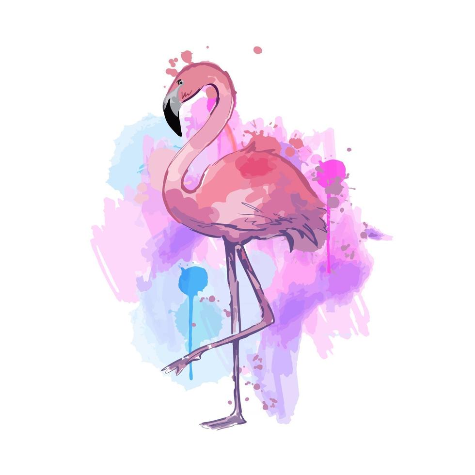 Pink watercolor flamingo. Beautiful vector illustration isolated on white background.