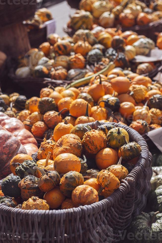Bunch of decorative mini pumpkins and gourds in baskets on farmers market autumn background photo