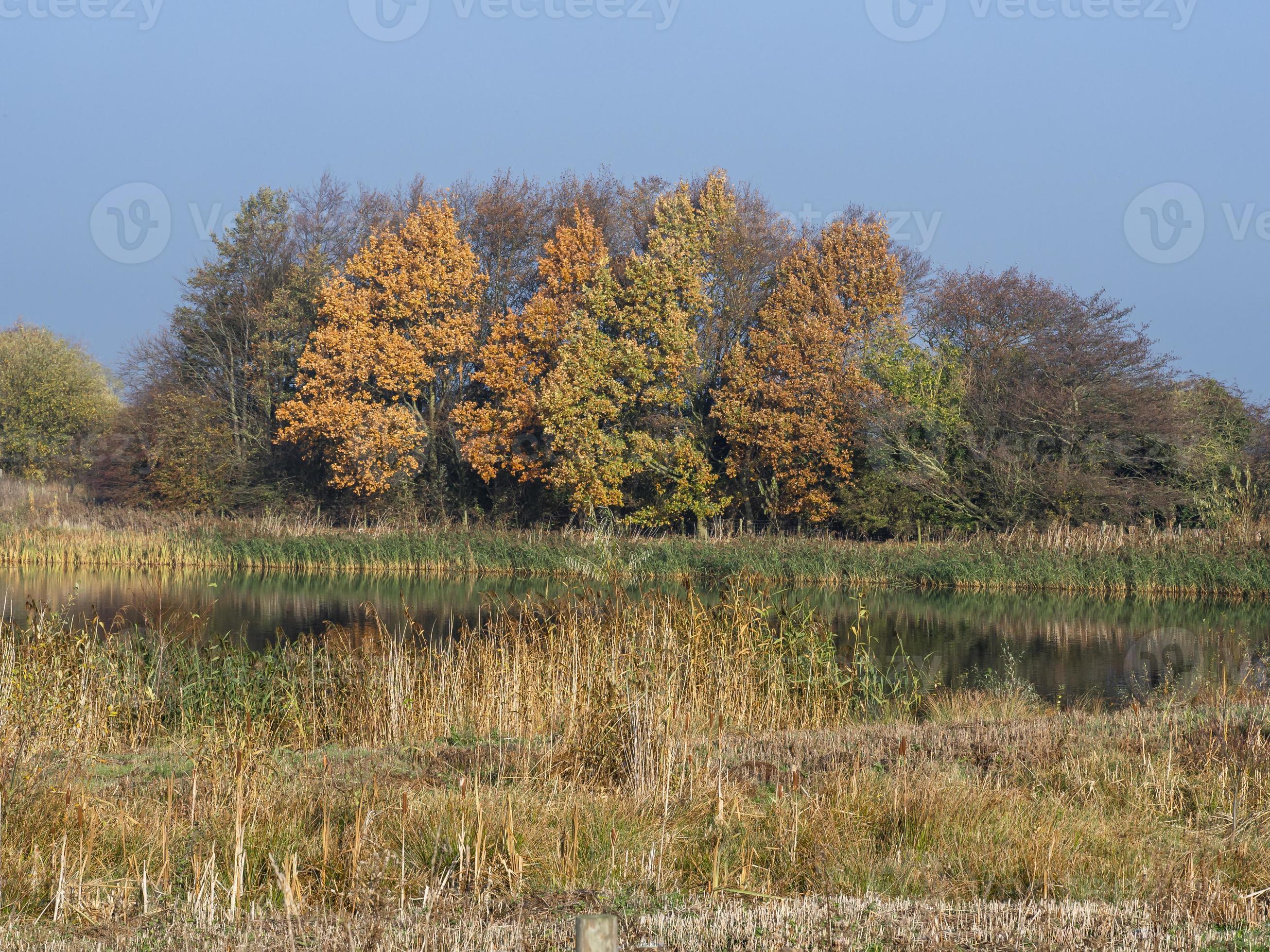 Autumn colours at Staveley Nature Reserve North Yorkshire England