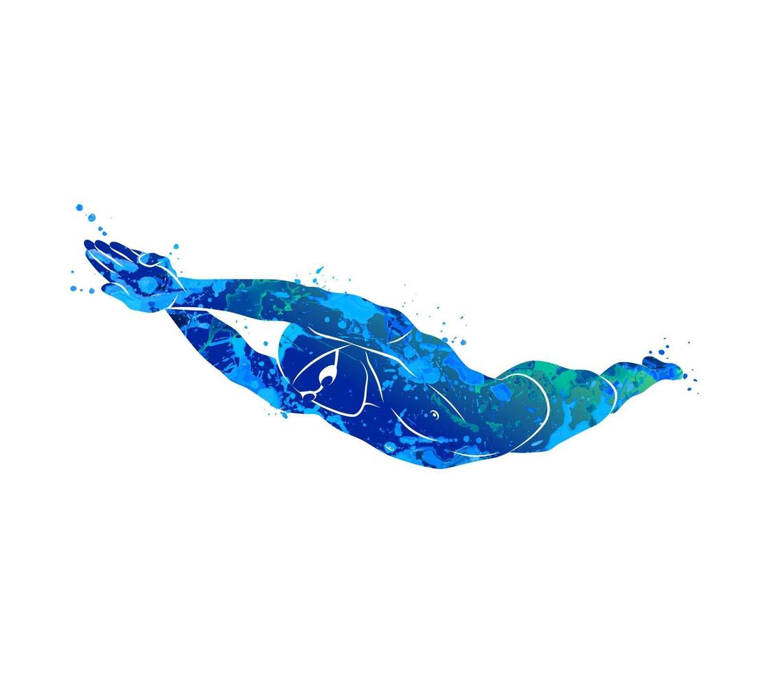 A swimmer dives into the water from splash of watercolors Vector illustration of paints