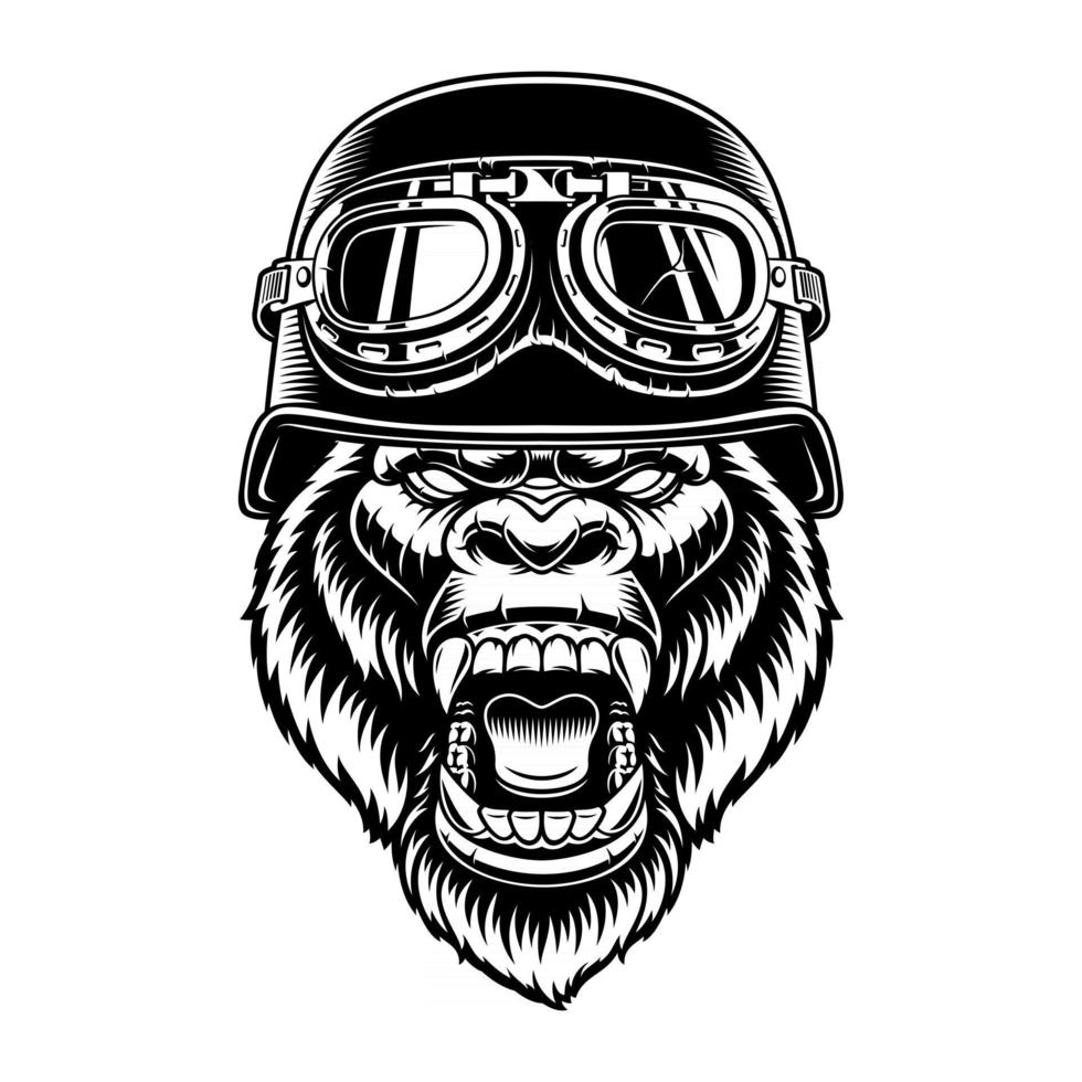 Vector illustration of a gorilla biker