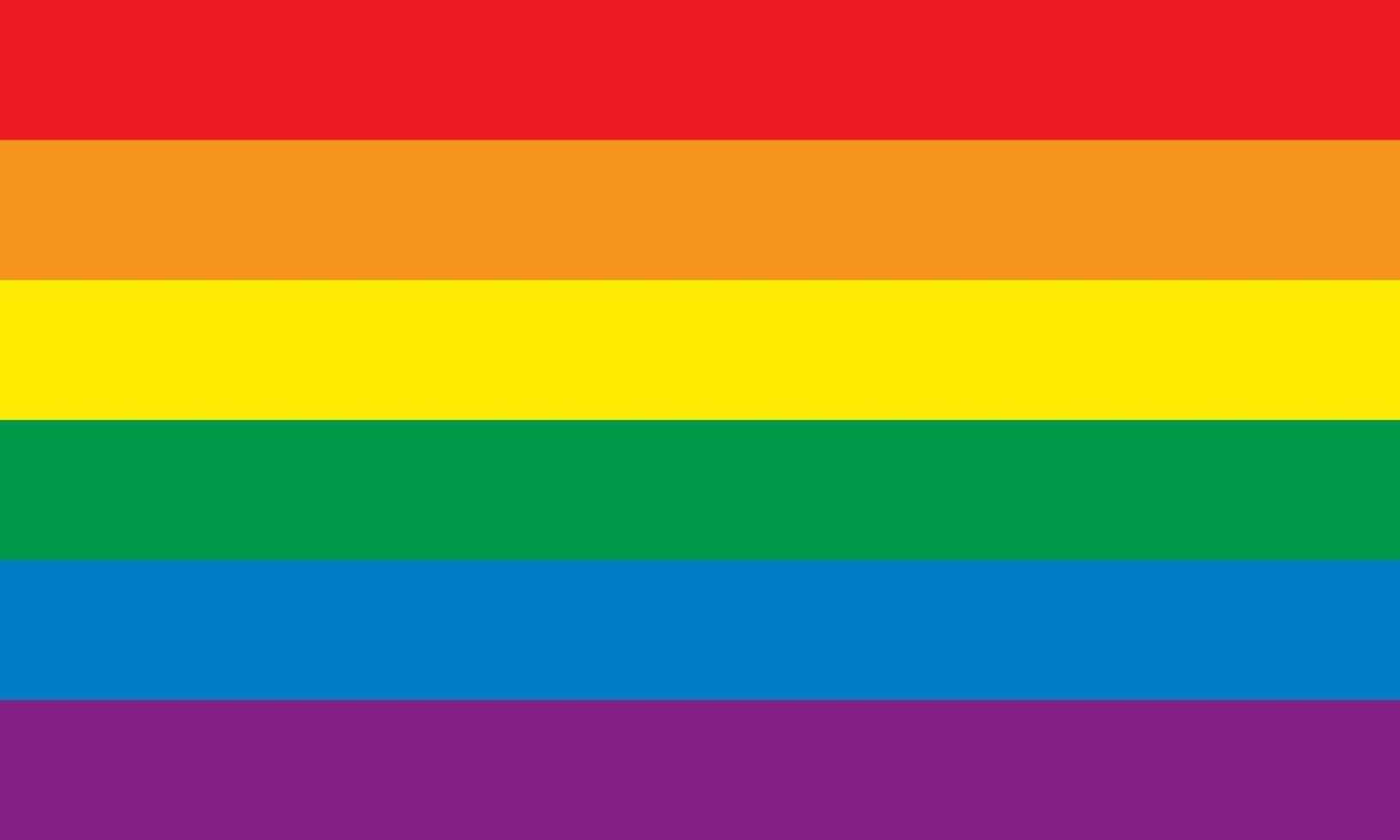 Rainbow officially flag vector