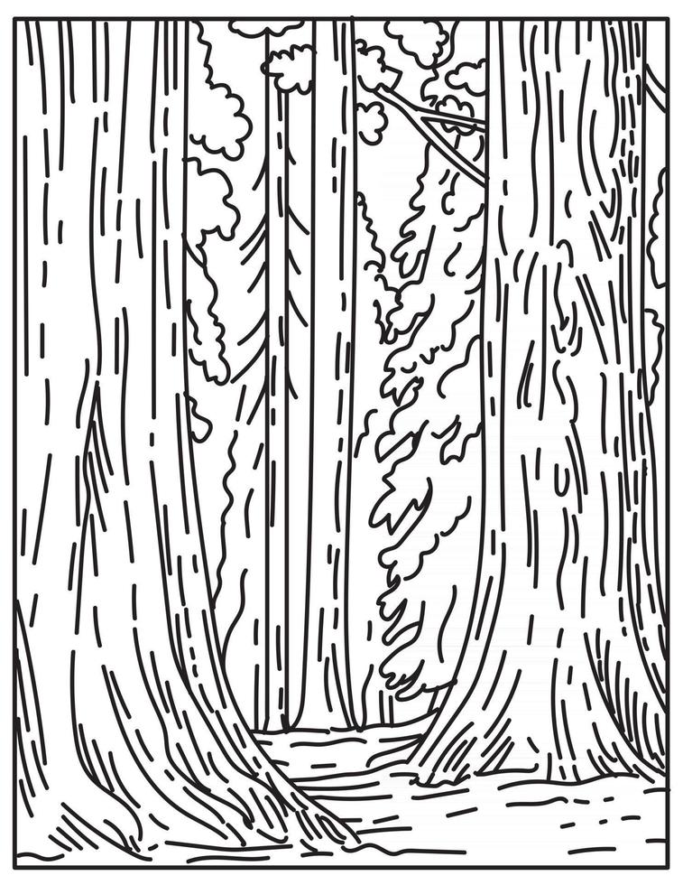 arboledas de secuoyas gigantes o secoyas en el parque nacional sequoia en sierra nevada en california estados unidos mono line o monoline arte lineal en blanco y negro vector