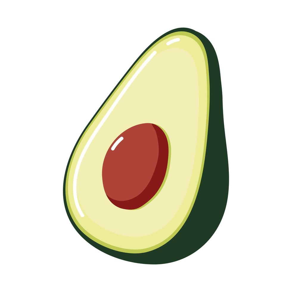 fresh half avocado vector