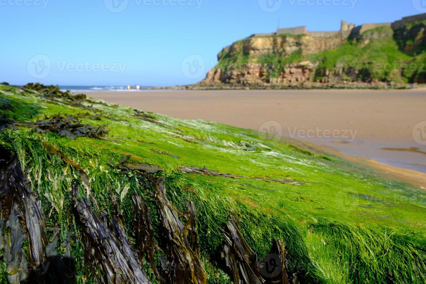 Tynemouth Long Sands on the North East Coast of England photo