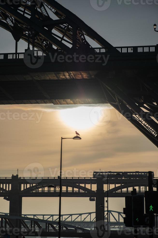 Tyne and High Level Bridges in Newcastle, England photo