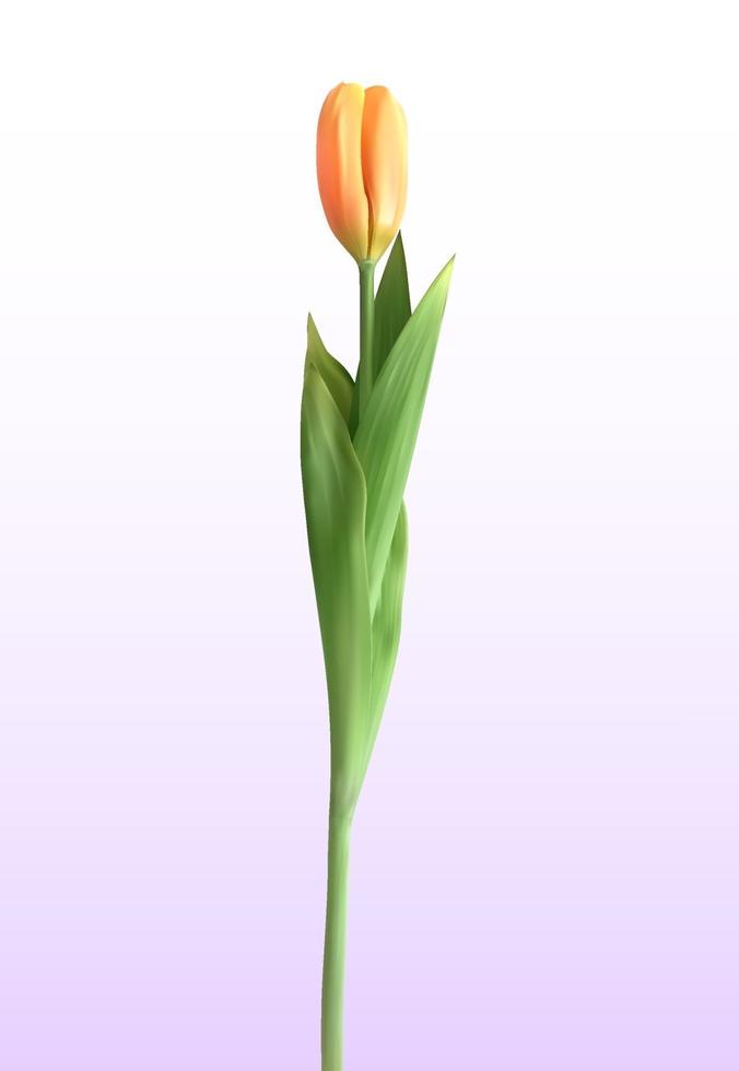 Naturalistic 3D view of yellow blossoming tulip on white background