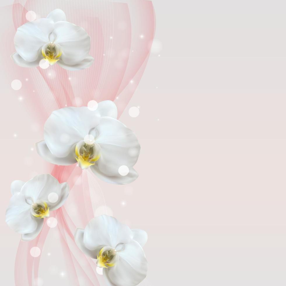 3D Realistic Natural orchid flower background. Design Template for Ads, flyer or Magazine Background. Vector Illustration