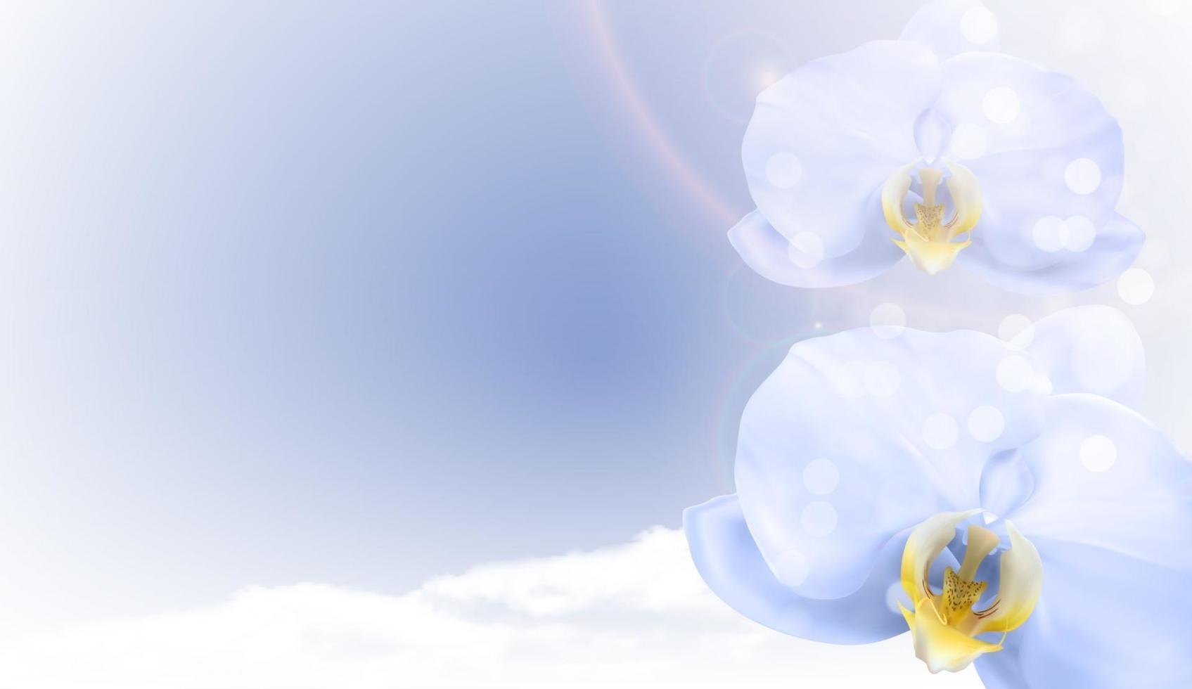 Realistic natural 3d orchid flower background. Vector Illustration EPS10