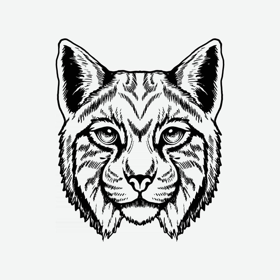 Cat head drawing 2642602 Vector Art at Vecteezy