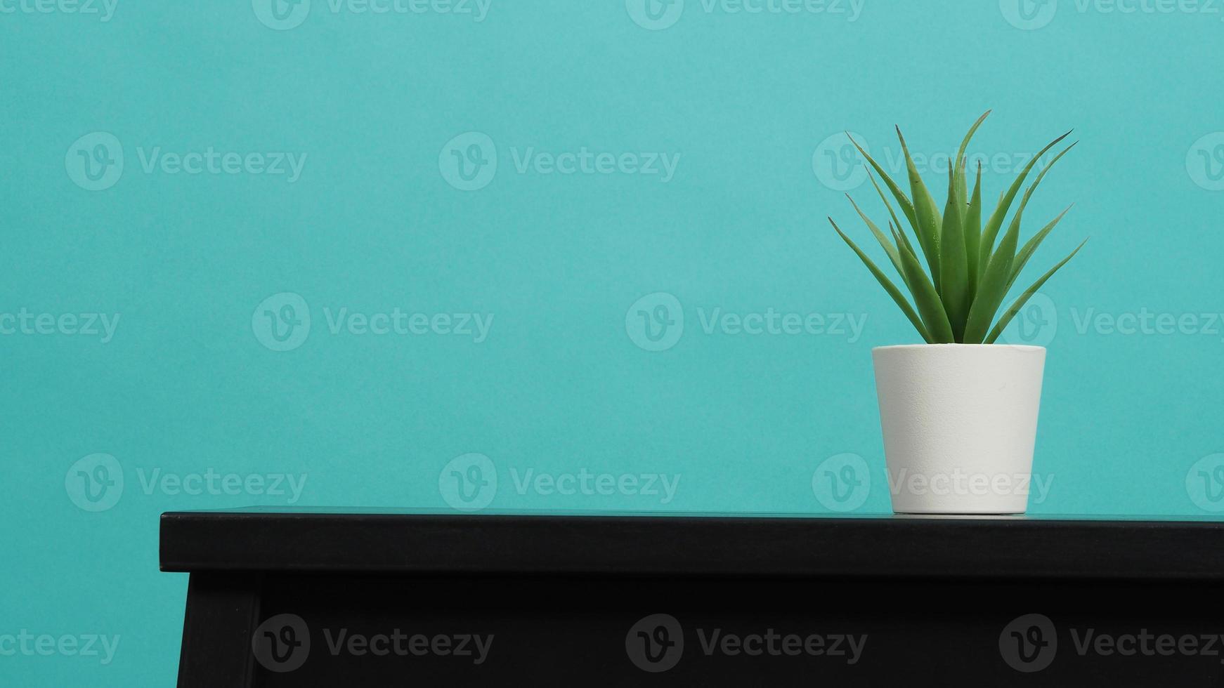 Artificial cactus plant on desk with mint green background photo