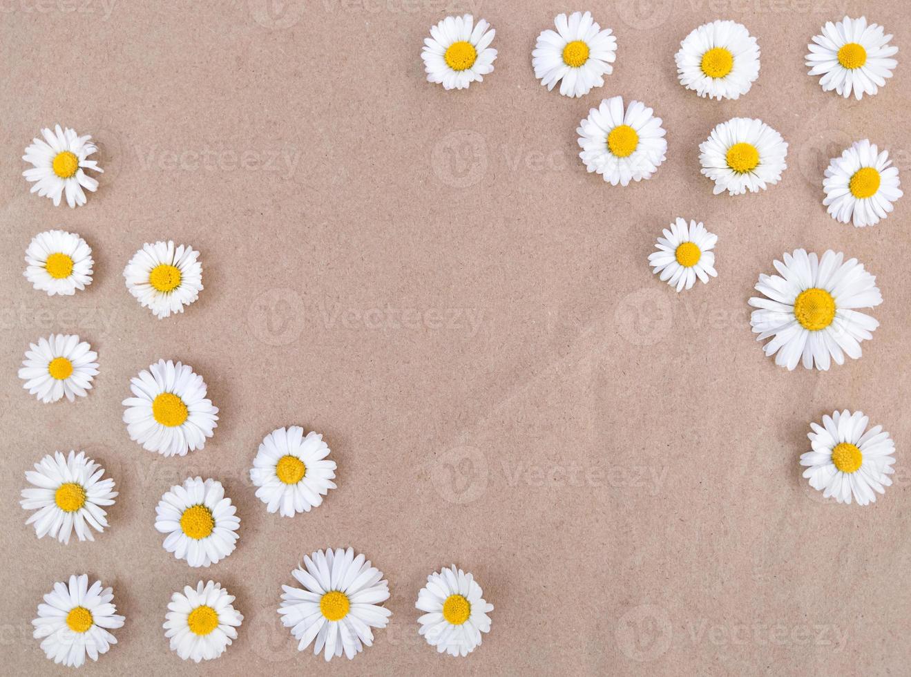 Flores de manzanilla en papel artesanal marrón con espacio de copia. foto