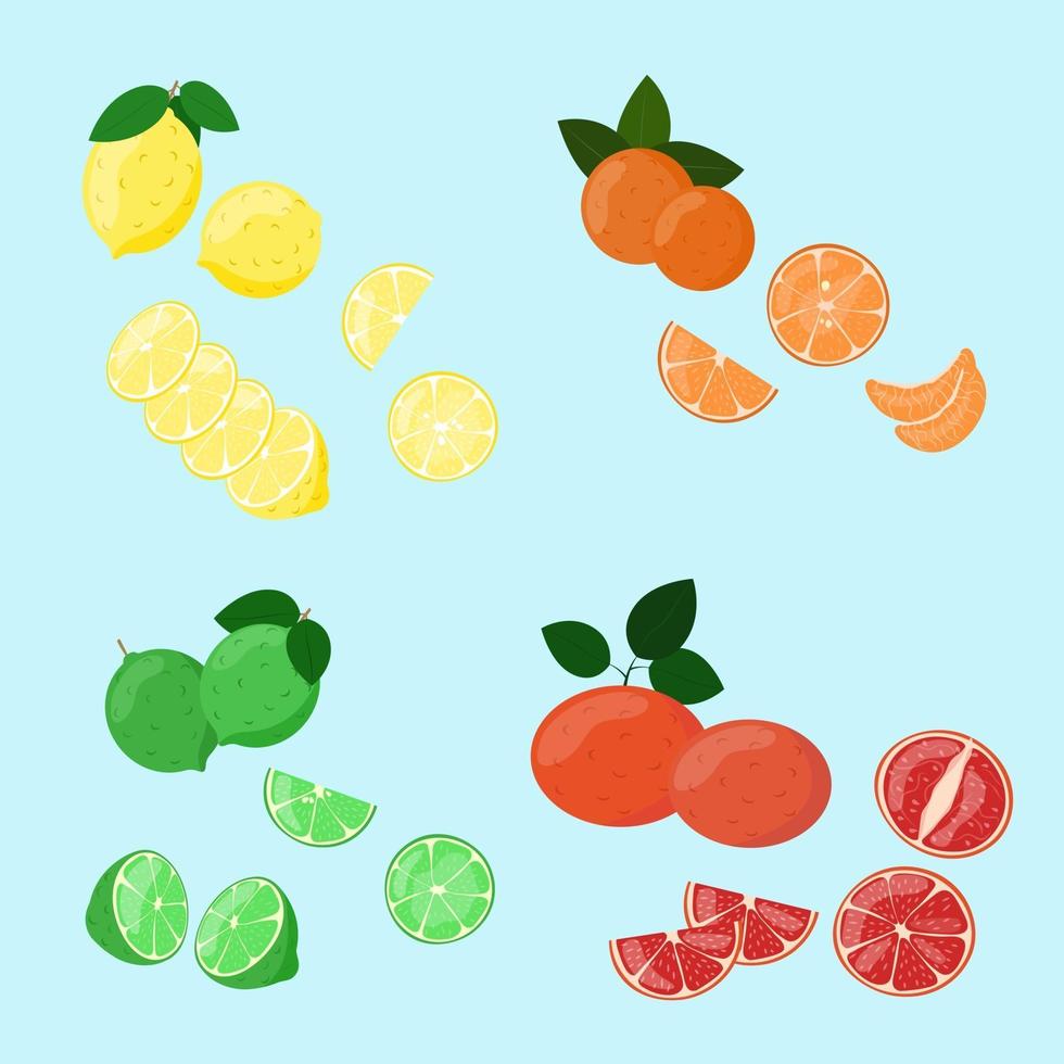 conjunto de frutas cítricas. rodajas de limón, mandarina, lima y pomelo aislados. vector