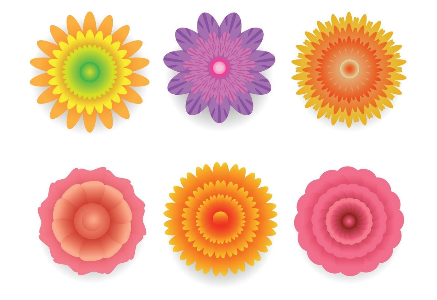 Cute Flowers on white Background vector