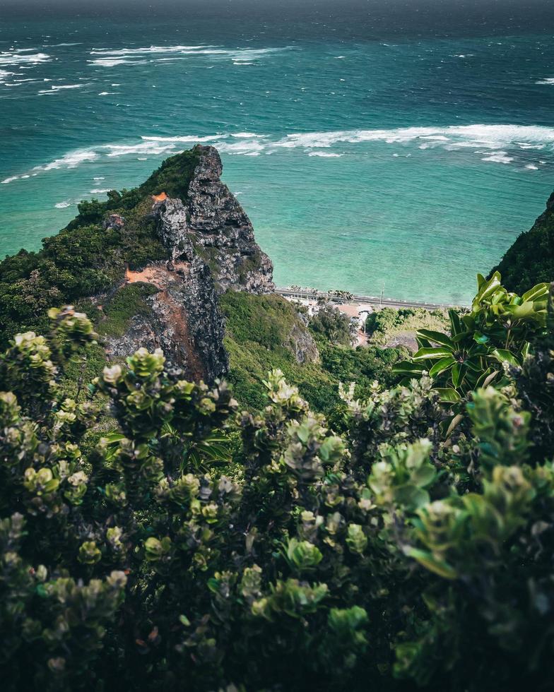 Tropical nature view from a hiking trail in Oahu, Hawaii photo